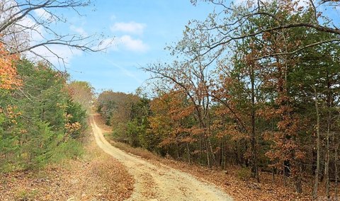 Land in Lead Hill, AR