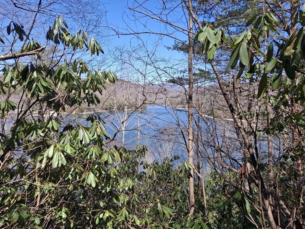 Land with Wolf Lake View