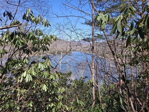 Land with Wolf Lake View
