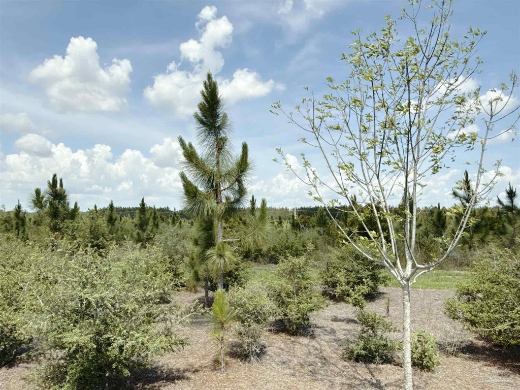 Picture 9