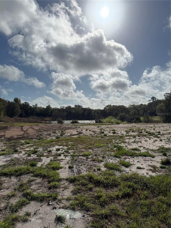 Picture 7