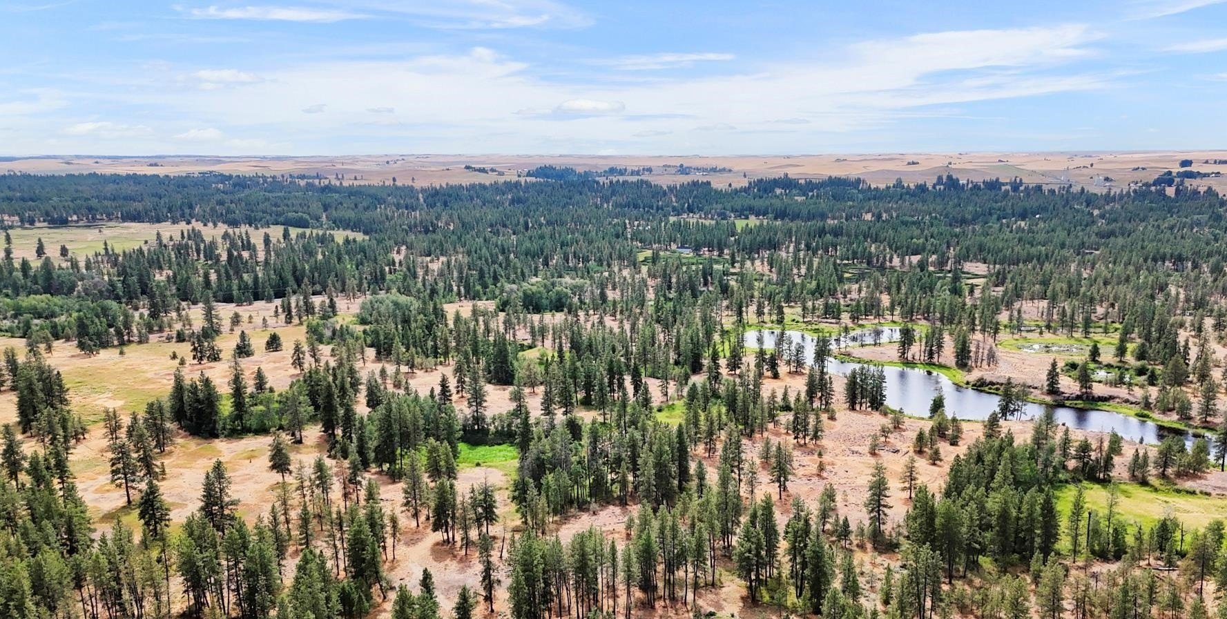 Medical Lake Acreage with Pond