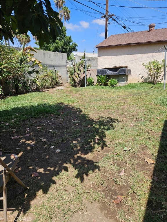 Picture 7
