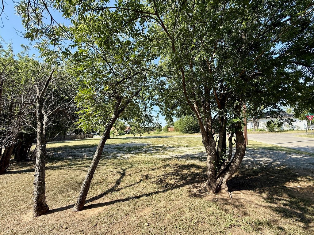 Picture 12