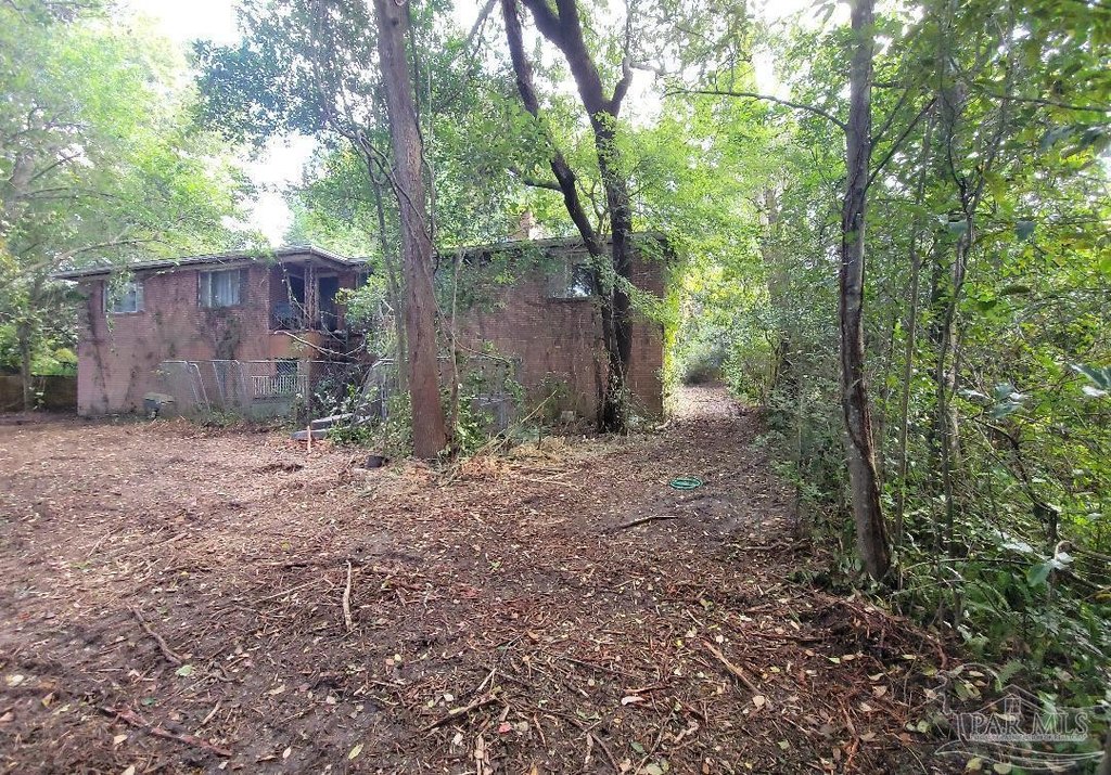 Picture 6