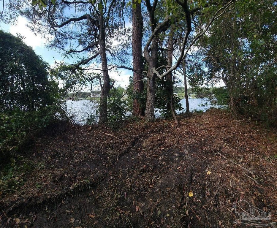 Picture 3