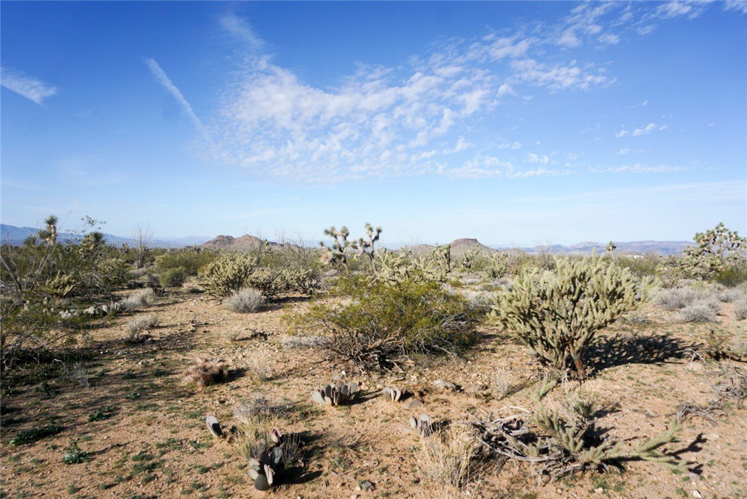 Land with Mountain Views