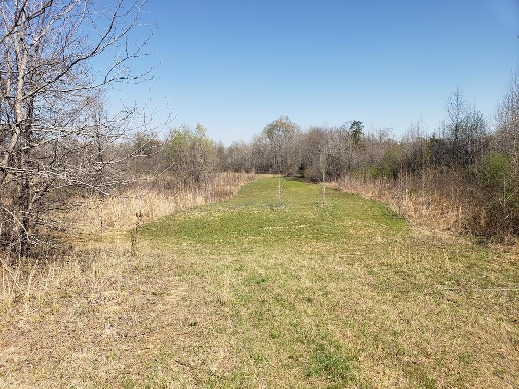 Picture 47