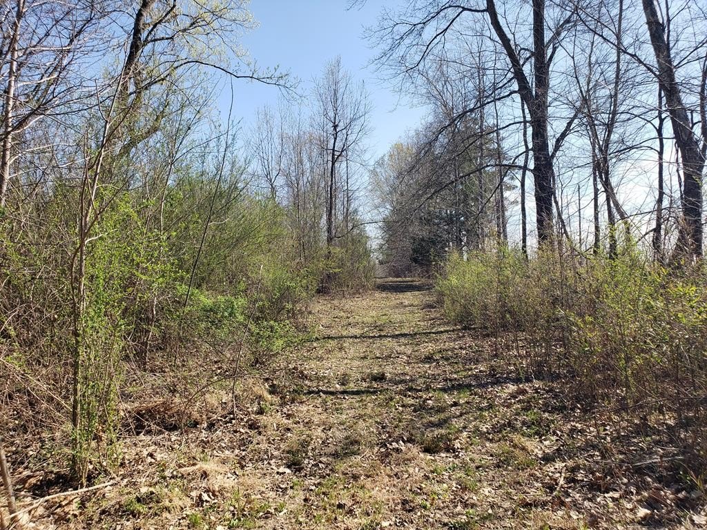 Picture 63