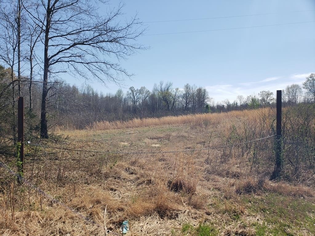 Picture 36