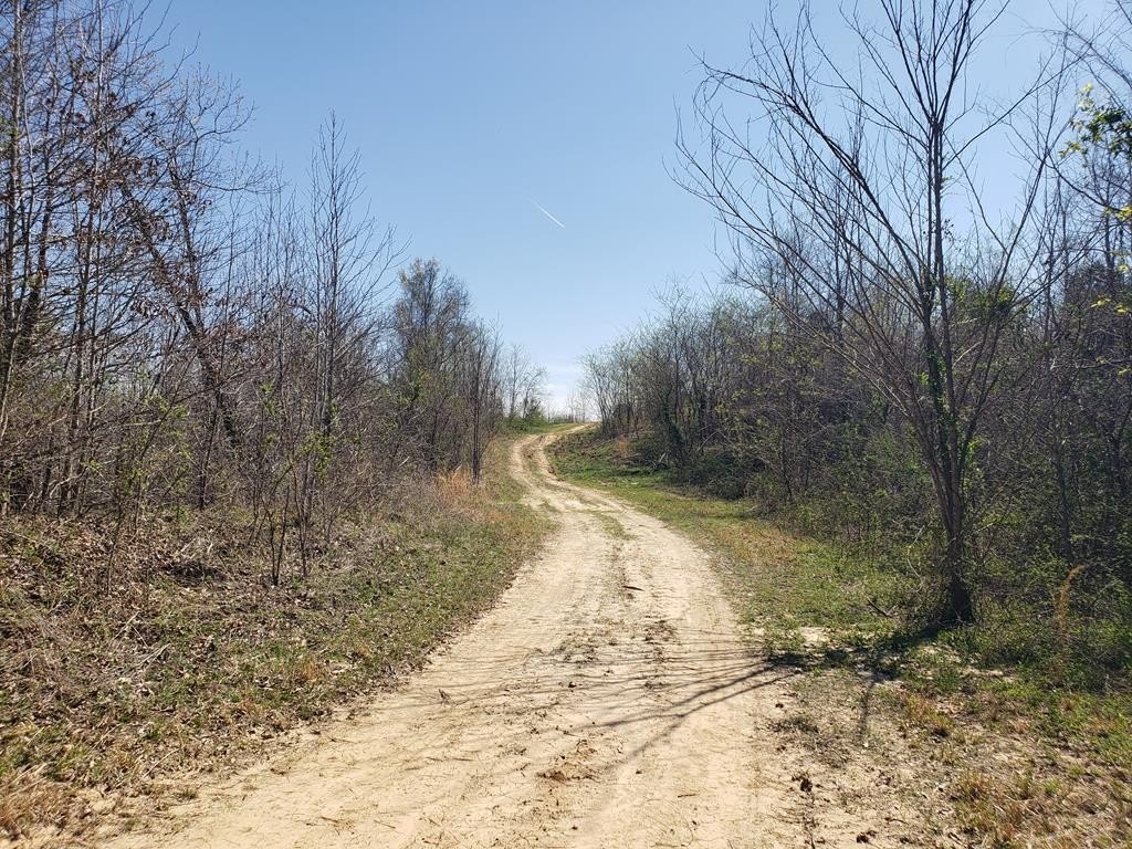 Picture 33