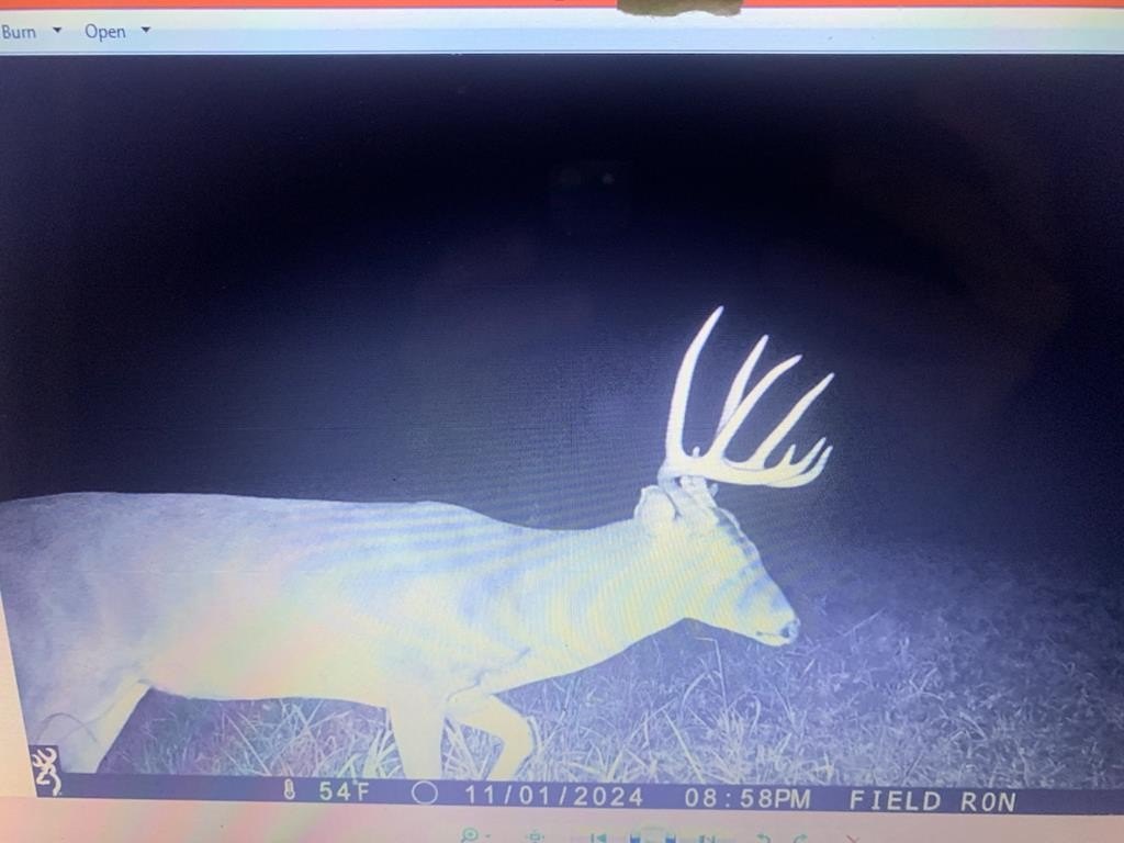 Picture 18