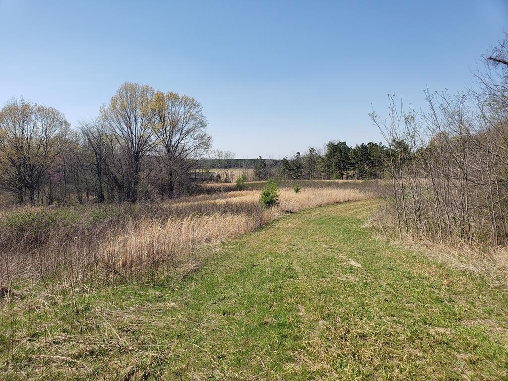 Picture 43