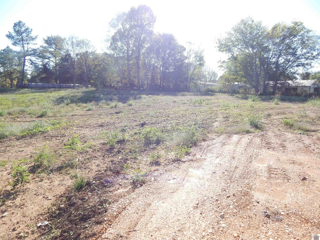 Picture 10