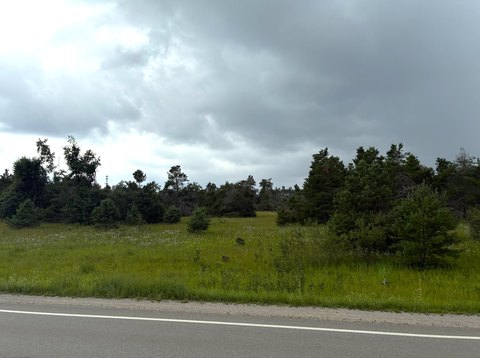 Vacant Commercial Land with Use Approval