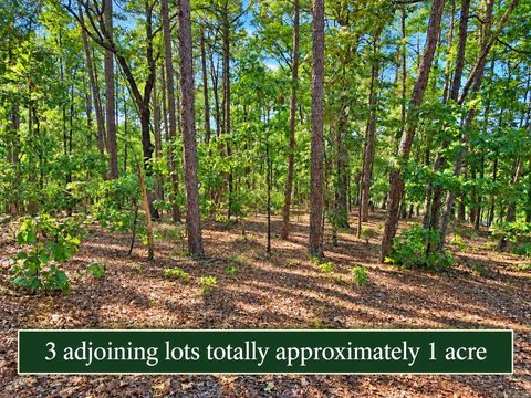 Vacant Land, Hot Springs Village, AR