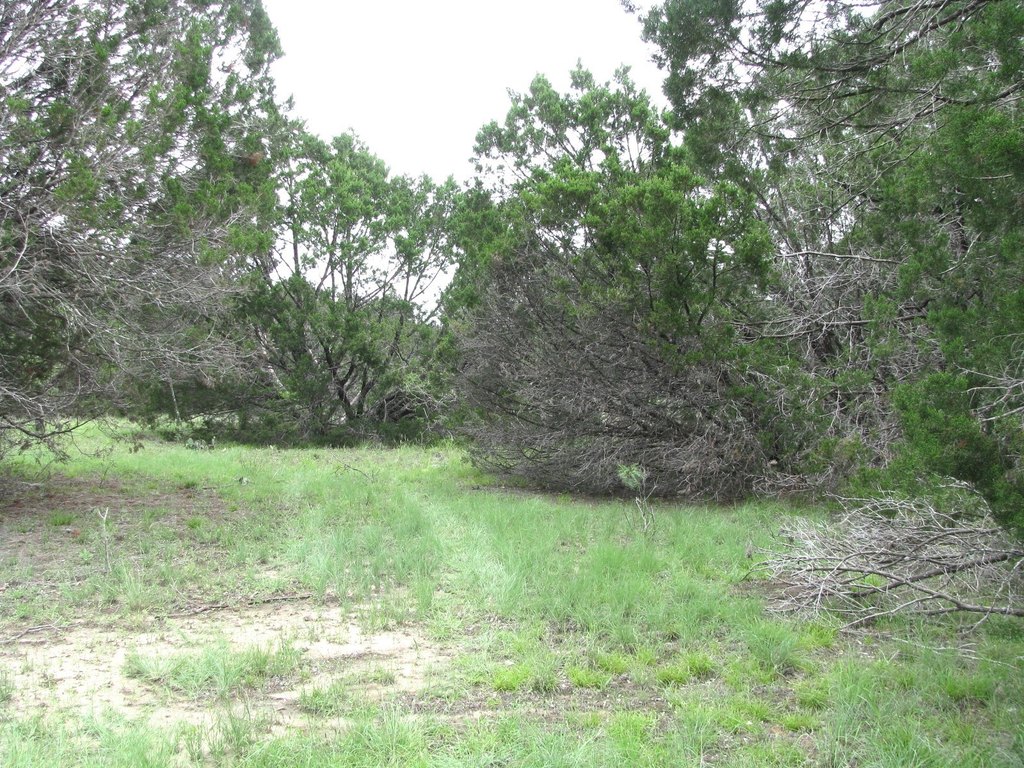 Picture 4