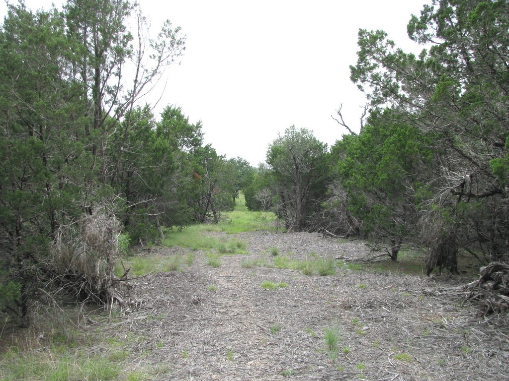 Picture 11
