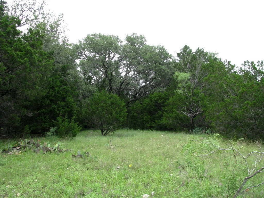 Picture 17