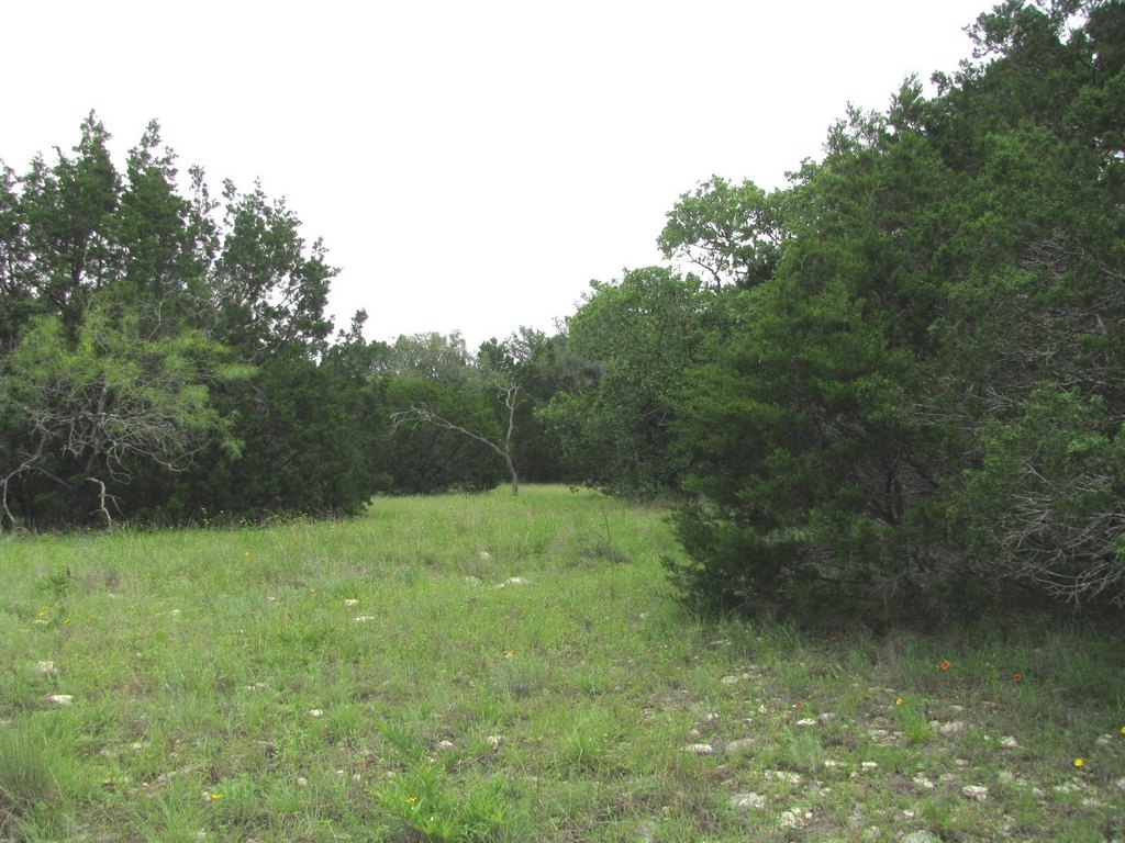 Picture 20