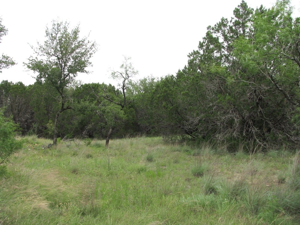 Picture 12