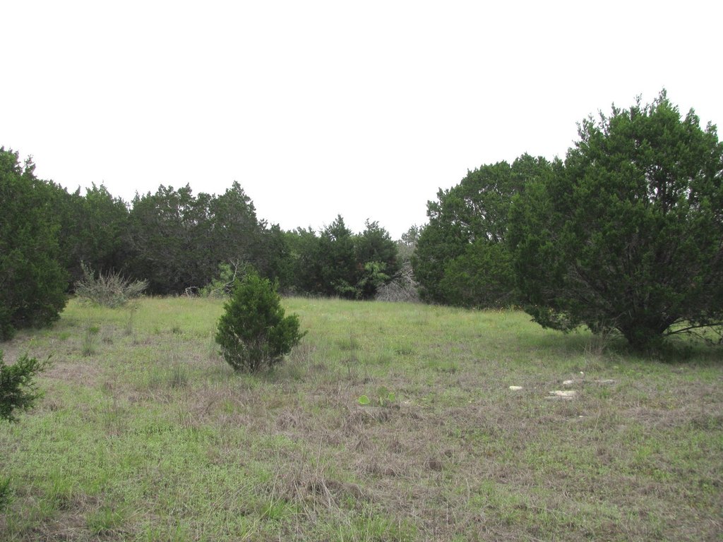 Picture 14