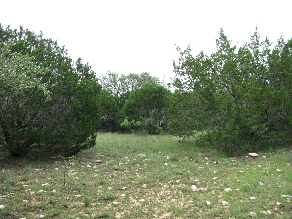Picture 15