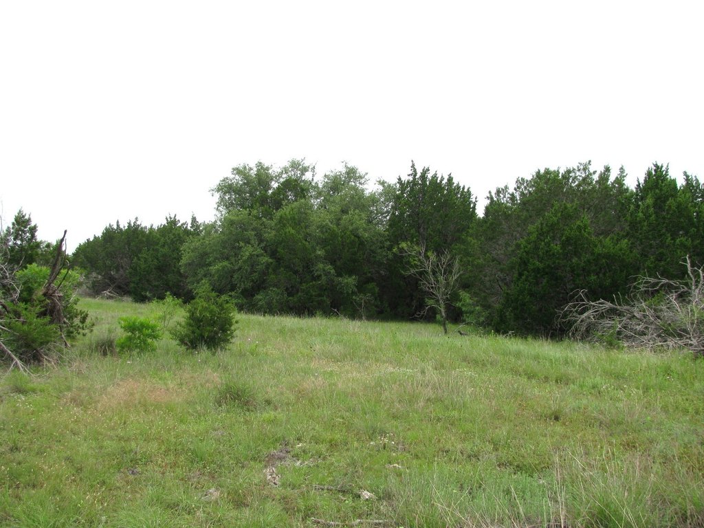 Picture 13