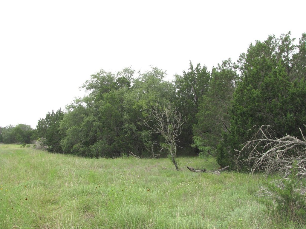 Picture 19