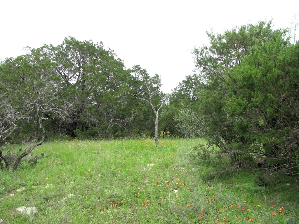 Picture 16