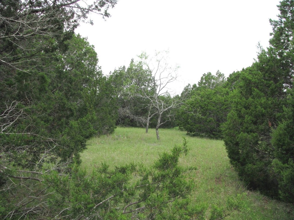 Picture 6