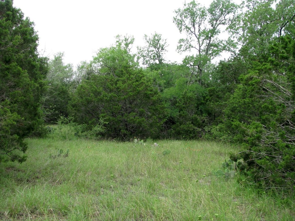 Picture 21