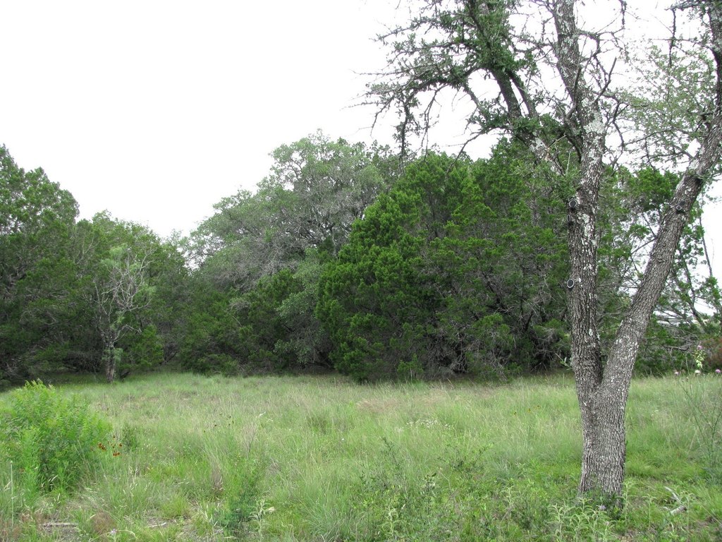 Picture 10