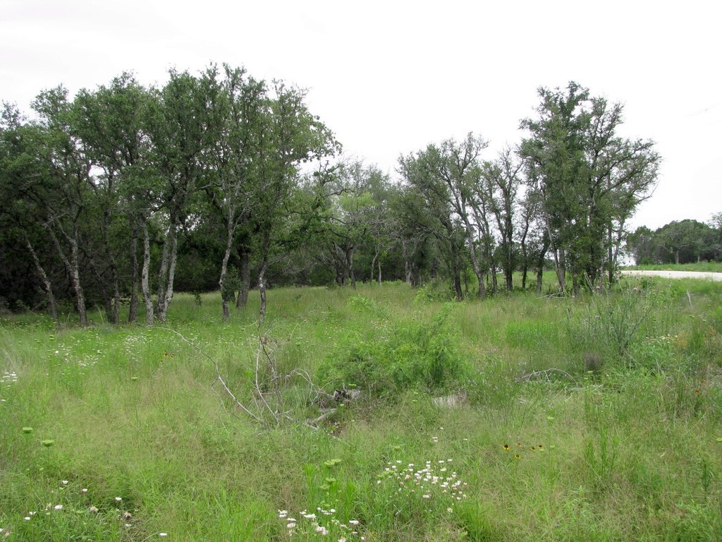 Picture 9
