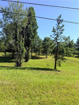 Land, Pollock, LA