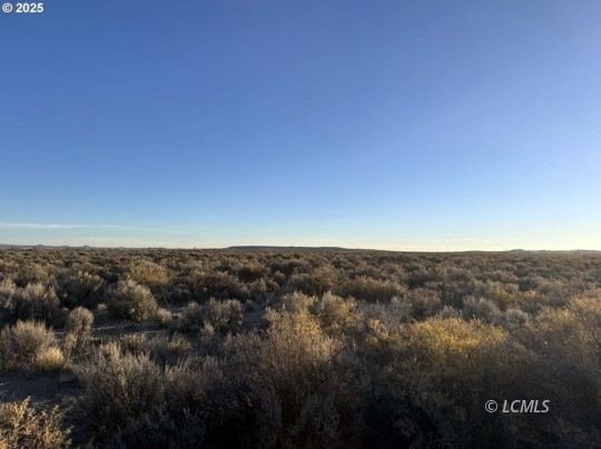 20 Acres Near Fossil Lake