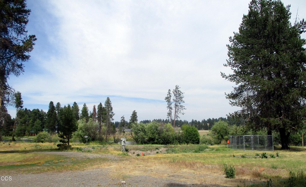 Picture 30