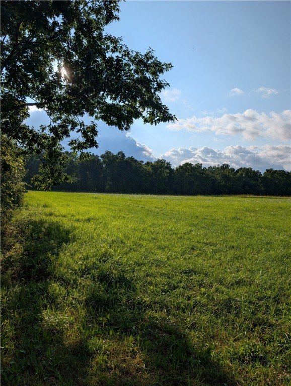 Picture 6