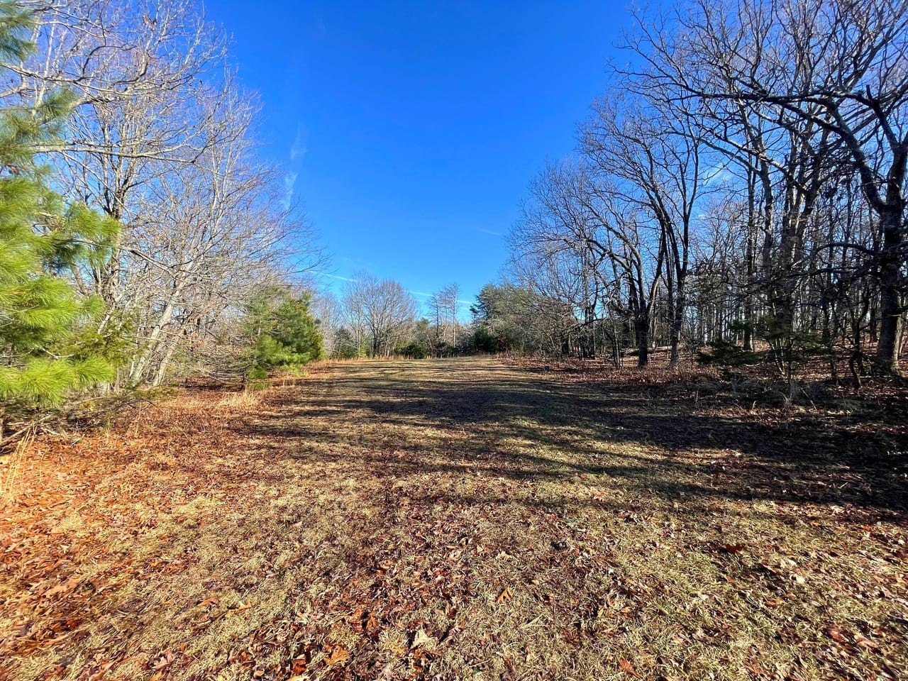 West Fork Vacant Land Opportunity