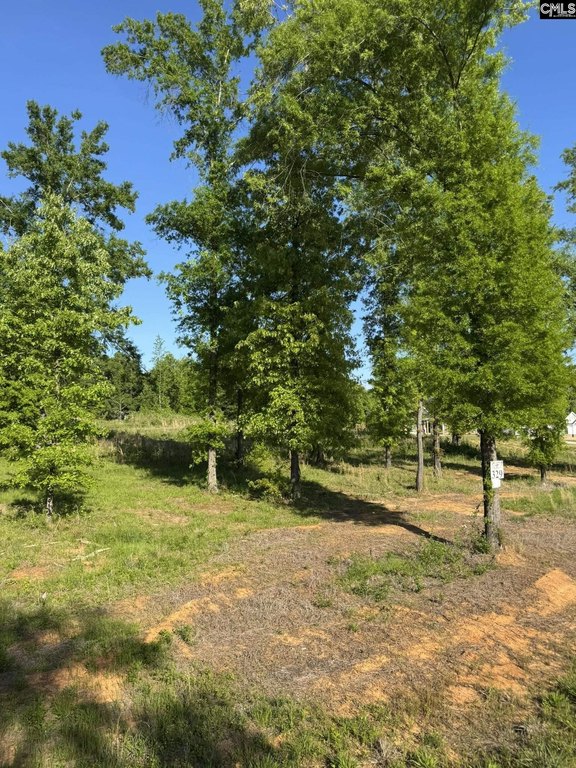 Picture 3