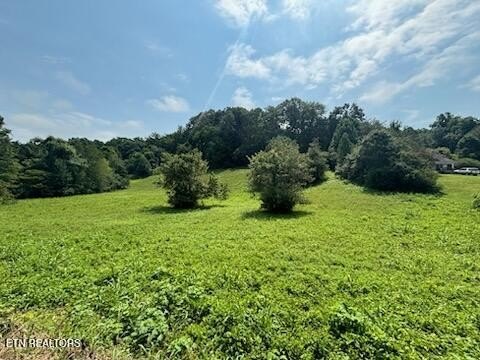 Lots & Acreage, Clinton, TN