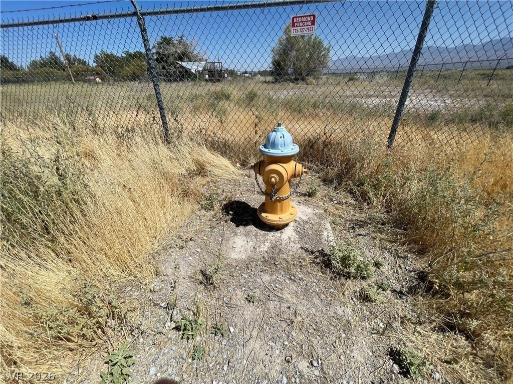 Picture 5