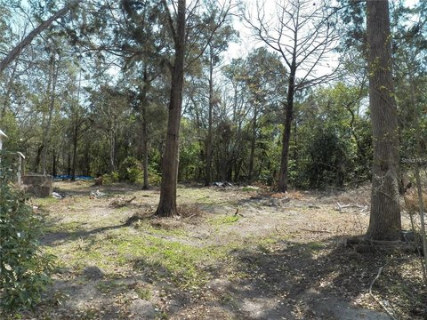 Land, SPRING HILL, FL