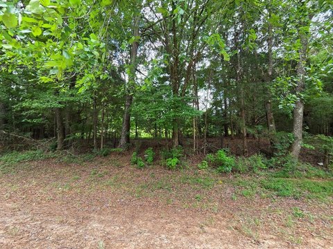 LAND - Sparta, GA