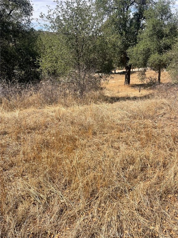 Picture 11