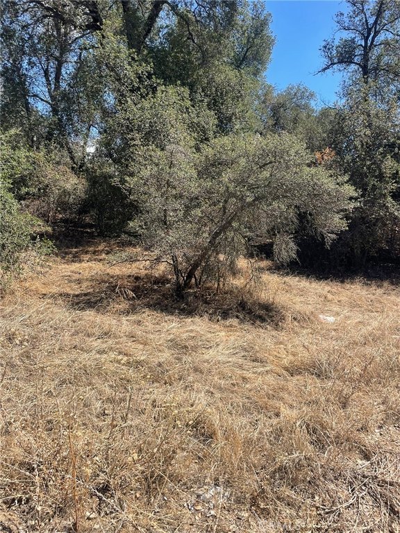 Picture 21