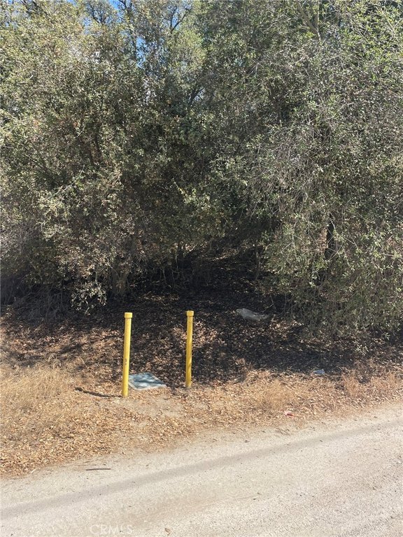 Picture 23