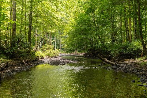 Land with Private River Access