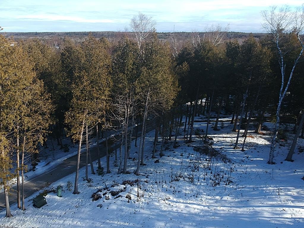 Picture 16