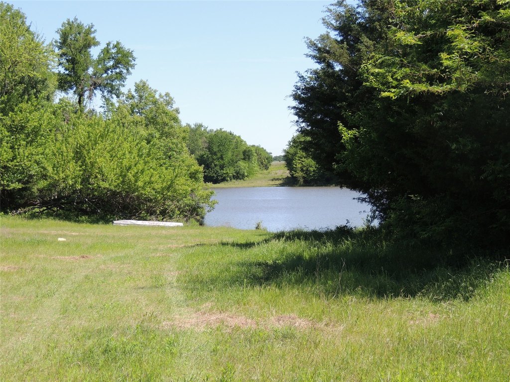 Picture 4